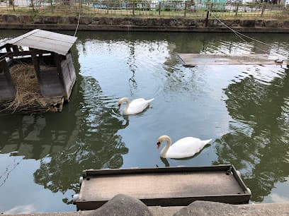 蓮池公園