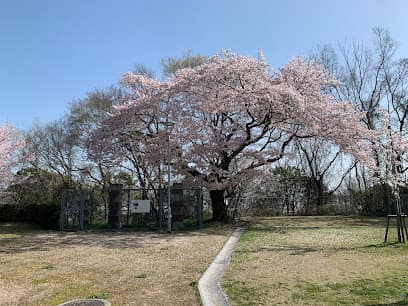 佐波城山公園