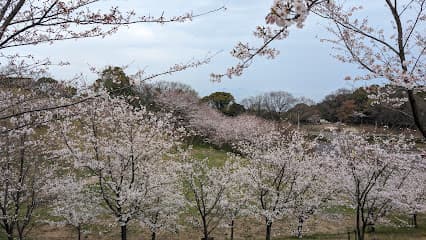 後山園地